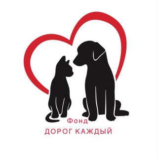 ДОРОГ КАЖДЫЙ БФ (дом "Команда Ронда")