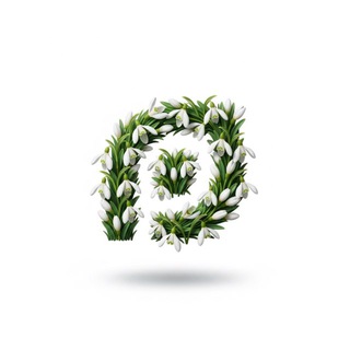 Комарово Парк | В ритме района