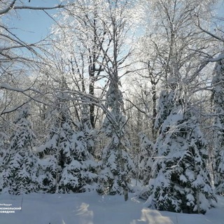 Комсомольский заповедник