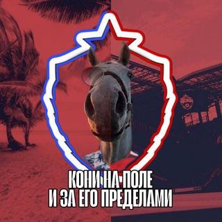 КОНИ НА ПОЛЕ И ЗА ЕГО ПРЕДЕЛАМИ | ЦСКА