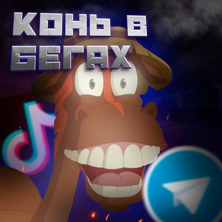 конь в бегах