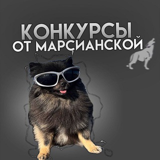 \|•дешевые звезды марсианской•|/