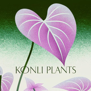 𝐊𝐨𝐧𝐥𝐢 𝐏𝐥𝐚𝐧𝐭𝐬