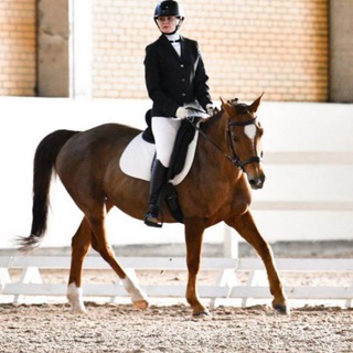 Невский конник