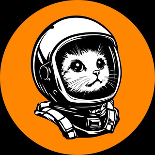 Контакт Бар Казань