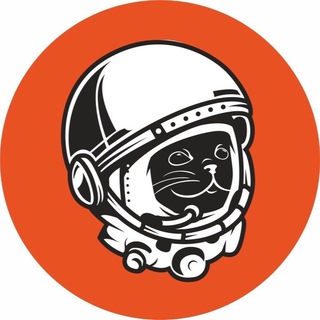 КОНТАКТ БАР😼 Пенза