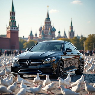 Контент мирового уровня