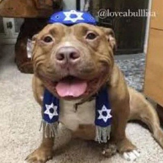 конторский