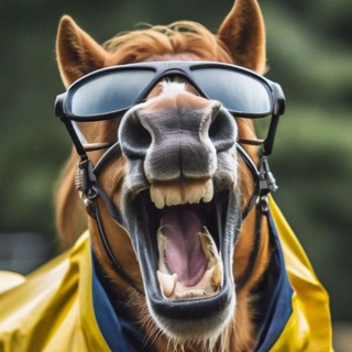 🐴 Конь валялся | Юмор | Смешные видеоролики | Приколы