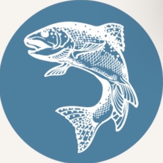 «Корнеевское подворье» живая форель свежая форель Клин Солнечногорск осётр живой