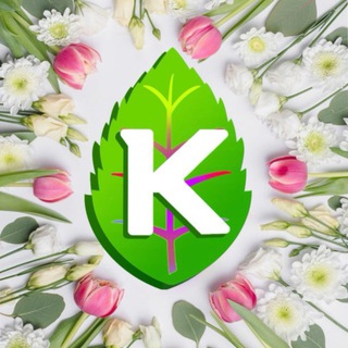 "Кормлина" - комбикорма с улучшенными потребительскими характеристиками