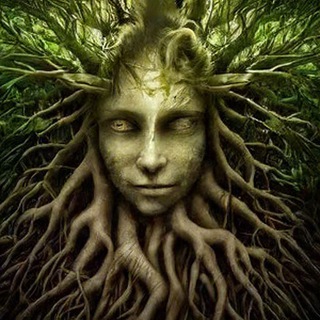 Корни мыслей | Психология