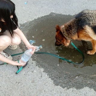 корнишончики 2.0