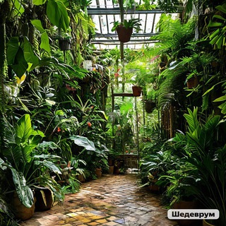 🌿Комнатные джунгли🌿