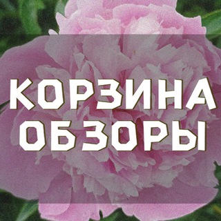 КОРЗИНА 🩷 ОБЗОРЫ
