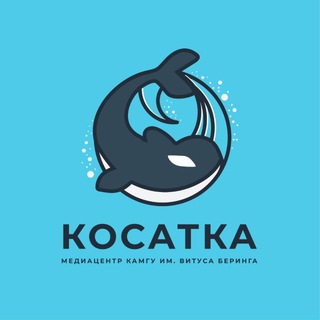 Косатка из КамГУ