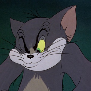 Кошачьи лапки | Резиденция Любви ❤️‍🔥