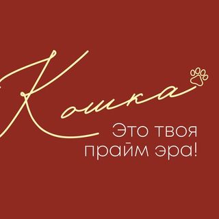 Студия нижнего белья «КОШКА» Калининград