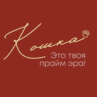 Студия нижнего белья Кошка