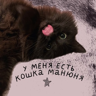 у меня есть кошка манюня