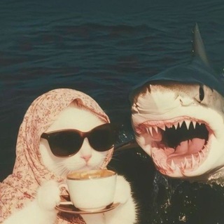 Прикольный хвостик