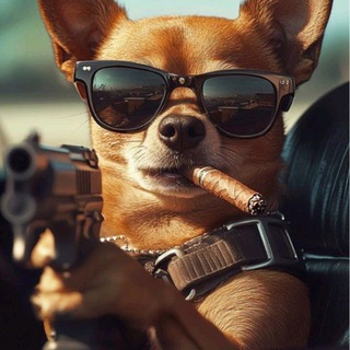 Пушистые проказники