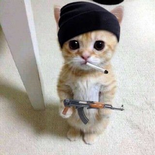 Ни дня без кусь