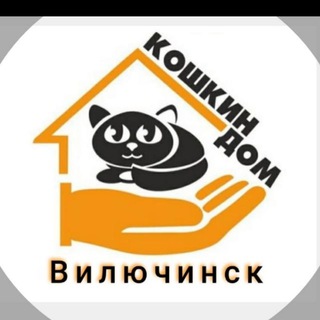 КОШКИН ДОМ 🏠 ВИЛЮЧИНСК