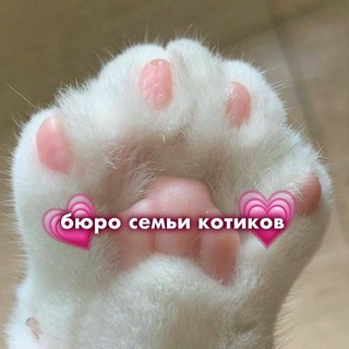 🌱Бюро Семьи Котиков🌱 | 𝐆𝐞𝐧𝐬𝐡𝐢𝐧𝐃𝐫𝐨𝐩