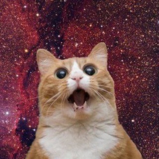 В космосе никто не услышит твой смех