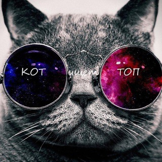 КОТ ищет ТОП