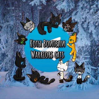Коты воители❤️✨