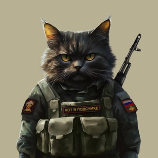 Кот в подсумке