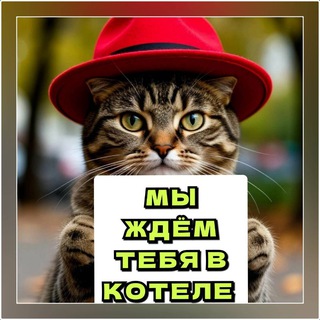 КОТЕЛЬ СМОЛЕНСК ❤️🐈