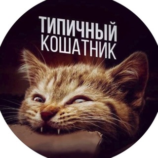 Типичный кошатник