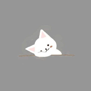 Фоны для историй🐱