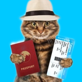 Вокруг света 🌍