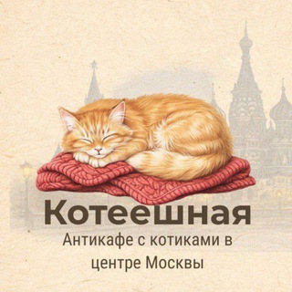 Котеешная - Котокафе-антикафе