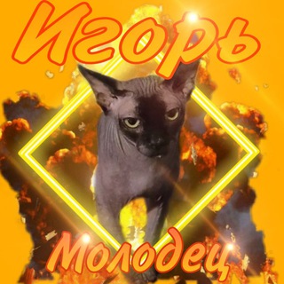 Жизнь Игоря