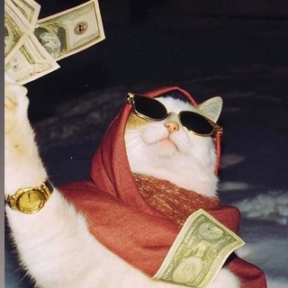 Котик невротик