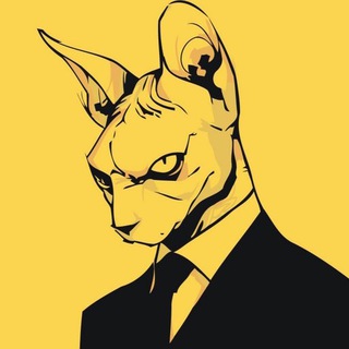 ЗЛОЙ КОТИК|отборный юмор😈приколы