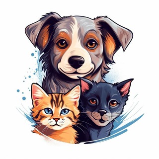 КОТ | Лапки и хвостики