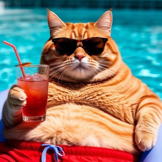 Кошки Мышки