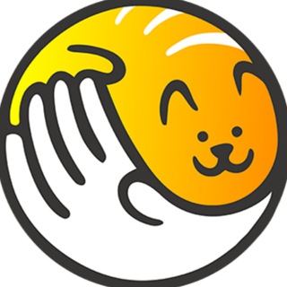 Котики в беде