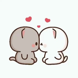 Милые котята 😻