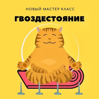 Мероприятия Котобюро