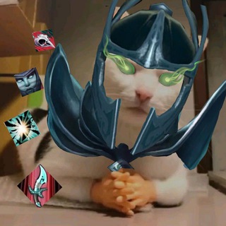 Котики и Дота 2