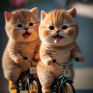 Котофеич 🐱