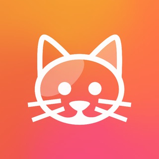 КотоКлипы / Милые и смешные котики