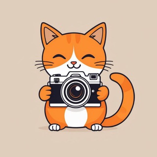 КОТОКРАТИЯ